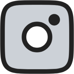 instagram duotone line icon