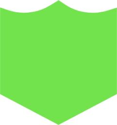 interface security shield 2 icon