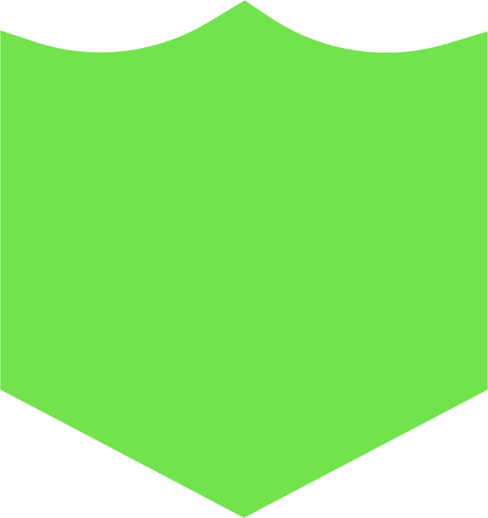 interface security shield 2 icon