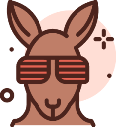 kangaroo glass icon