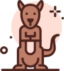 kangaroo icon