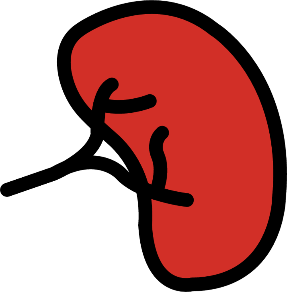 kidney emoji