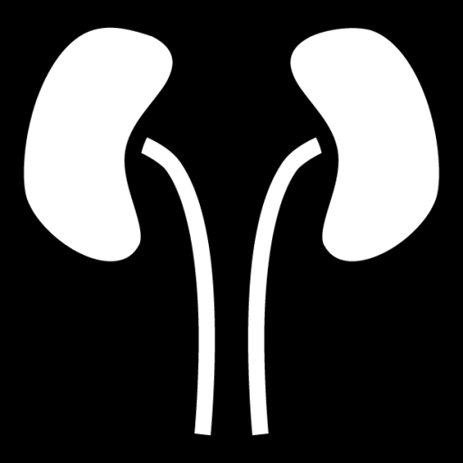 kidneys icon