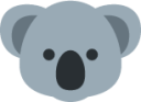 koala emoji