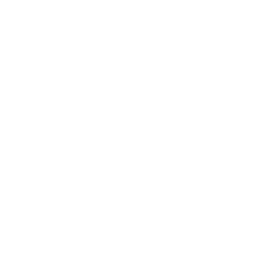 Komodo Cryptocurrency icon