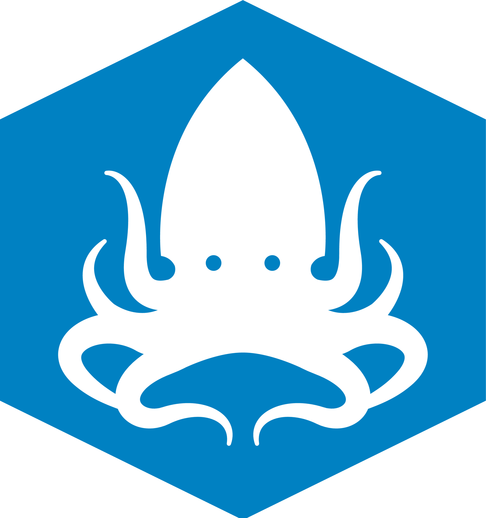 krakenjs icon