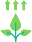 leaf upload icon