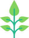 leafs icon