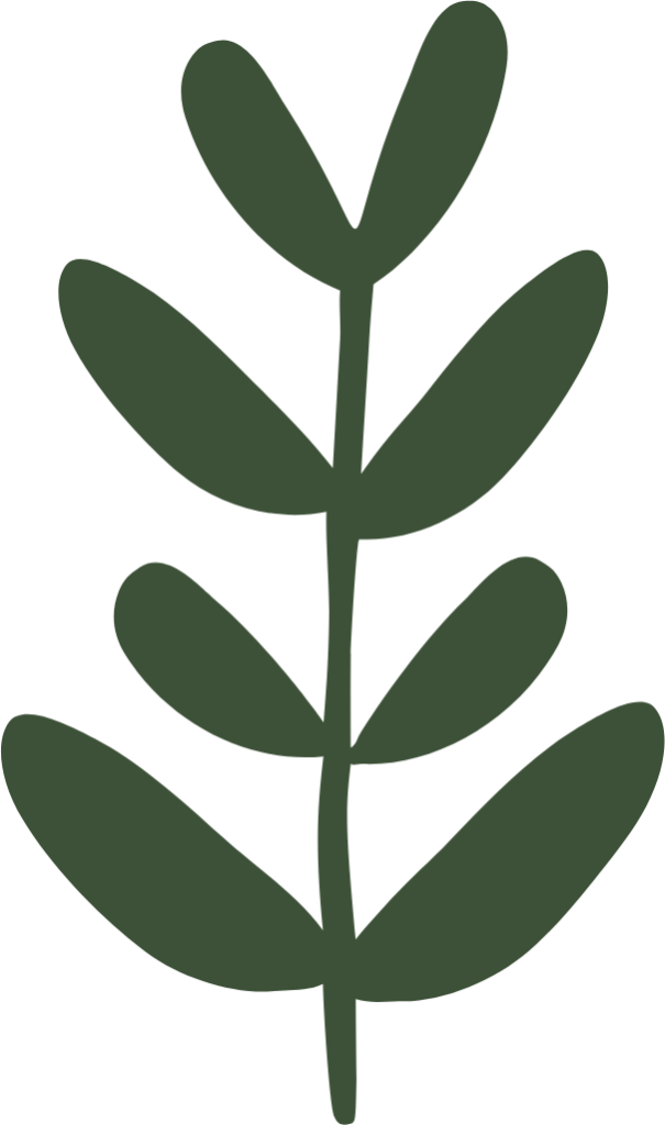 leaf nature icon