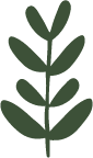 leaf nature icon