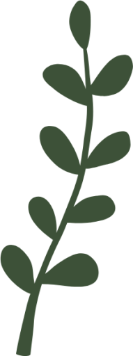 leaf nature vine icon