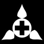 level three advanced icon