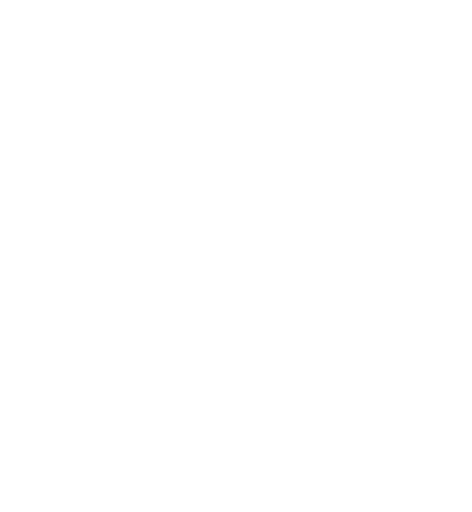 lightning extension icon