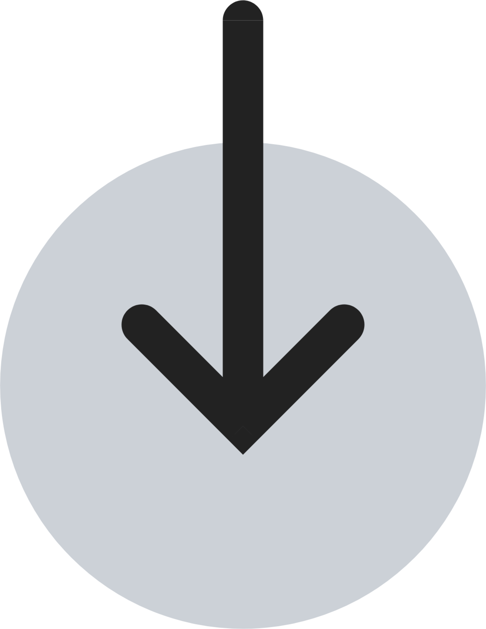 Load circle duotone icon