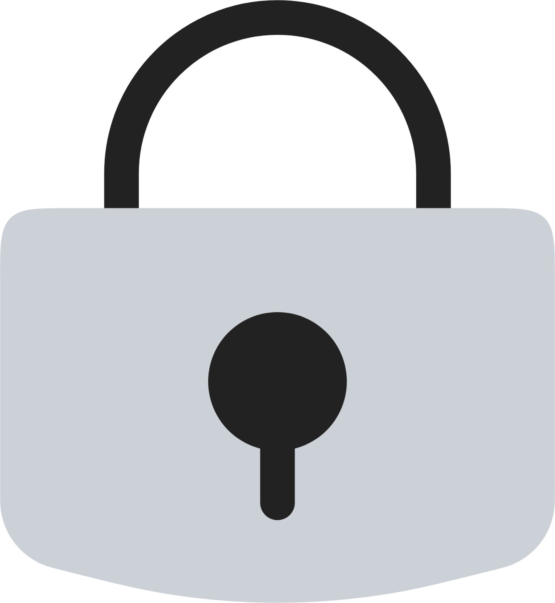 Lock duotone icon