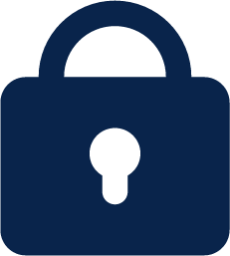 lock fill system icon