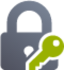lock key icon