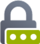 locked password icon