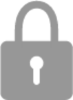 lock full icon