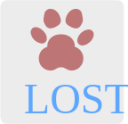 lost icon