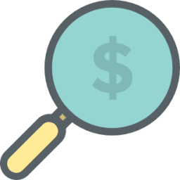 magnifier dollar sign icon
