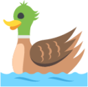 male duck emoji