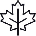 maple leaf 1 icon
