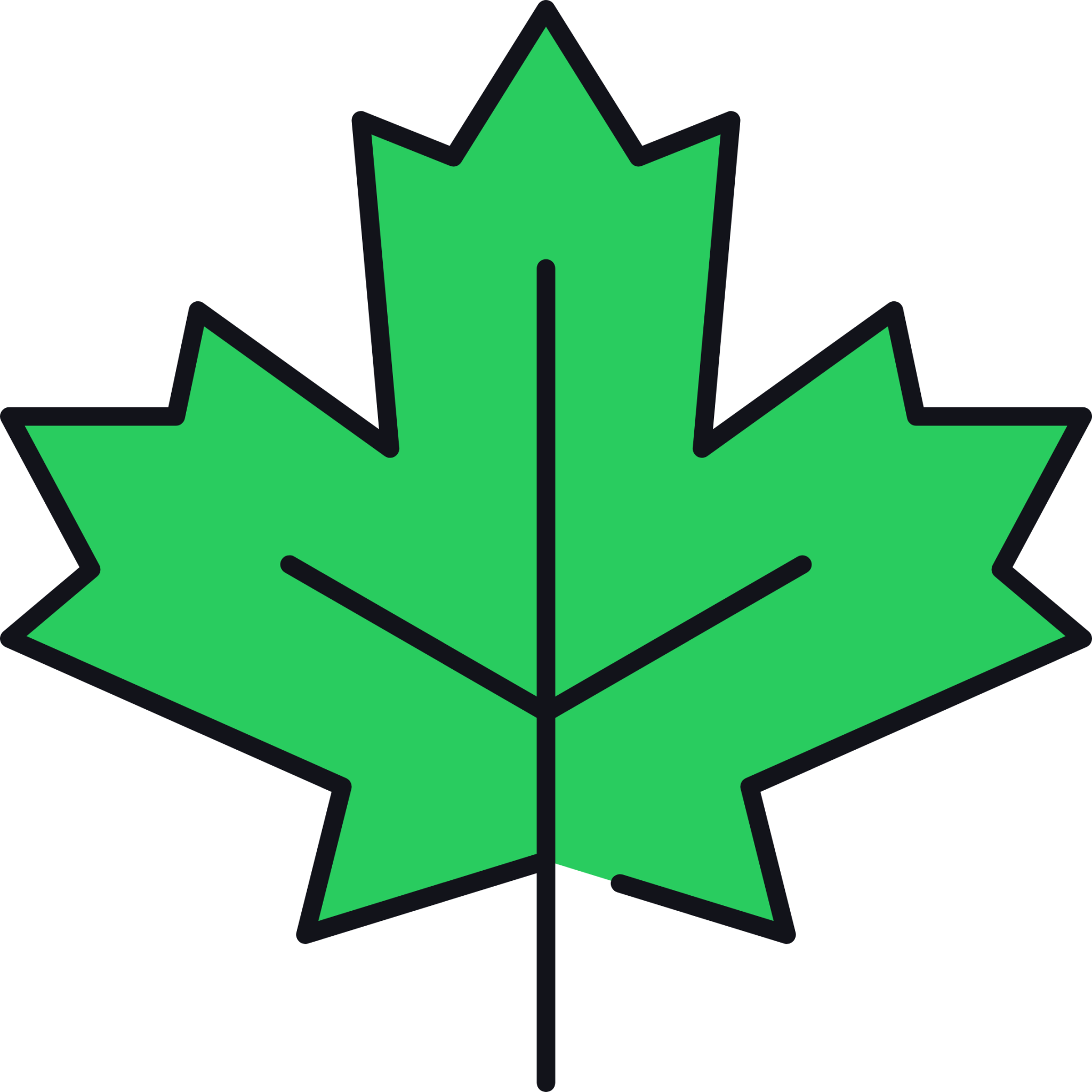 maple leaf 1 icon