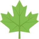 maple leaf emoji