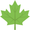 maple leaf emoji