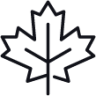 maple leaf icon