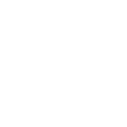 Matic Network Cryptocurrency icon