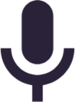 mic color icon