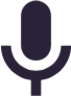 mic color icon