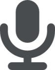 mic icon