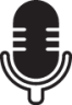 microphone icon