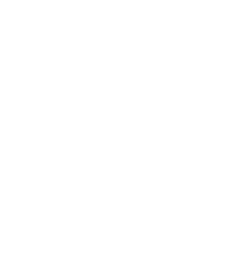 Millennium Falcon icon