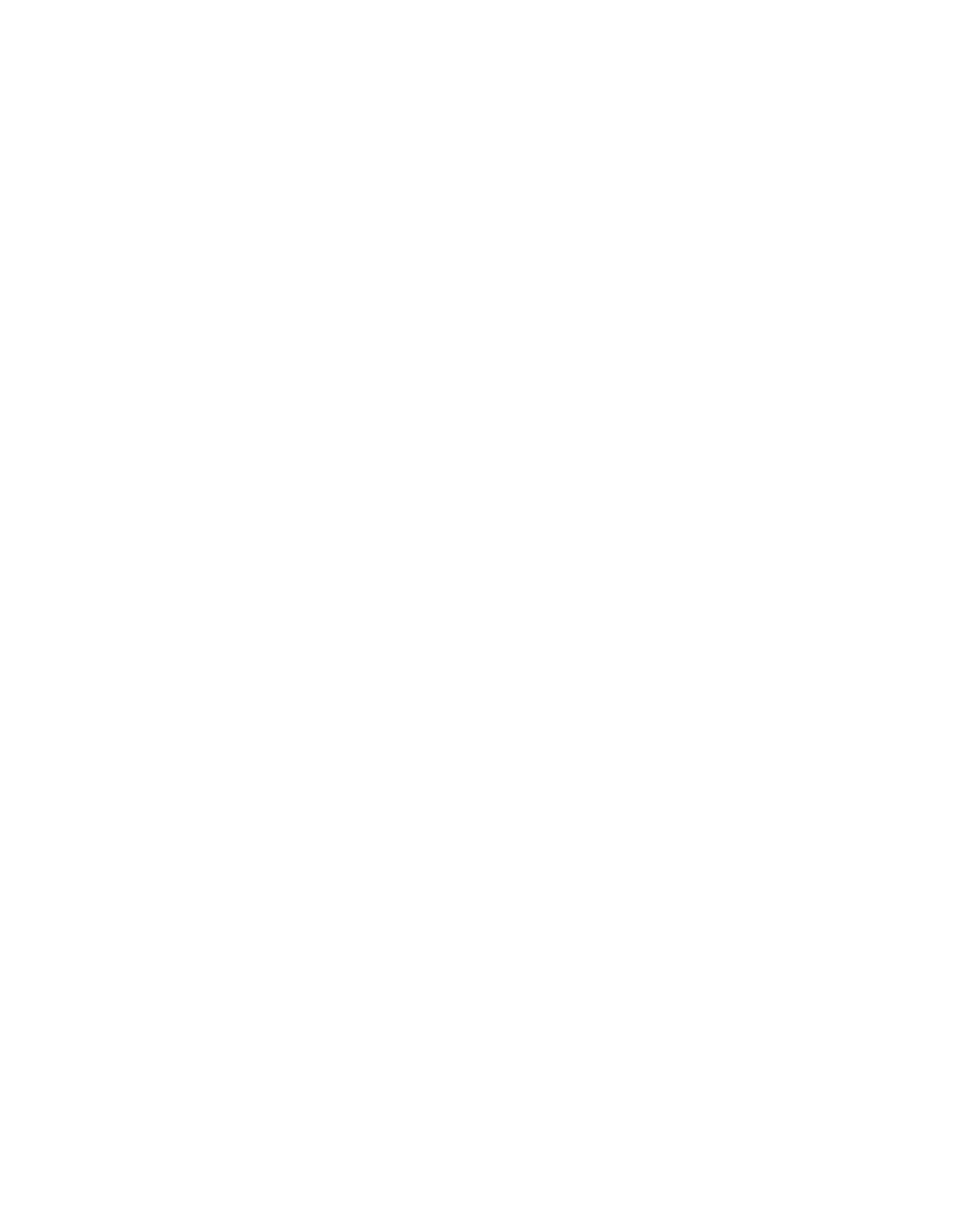 moneybag icon