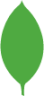 mongodb plain icon