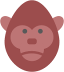 monkey 4 icon