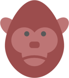 monkey 4 icon