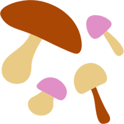 mushrooms illustration