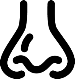 nasal icon