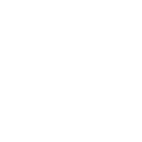 NavCoin Cryptocurrency icon