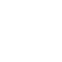 NDZ Cryptocurrency icon