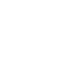 NDZ Cryptocurrency icon