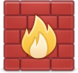 network firewall icon
