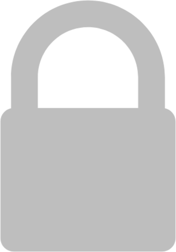 network wireless encrypted icon