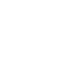 Nexo Cryptocurrency icon