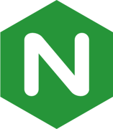 nginx icon